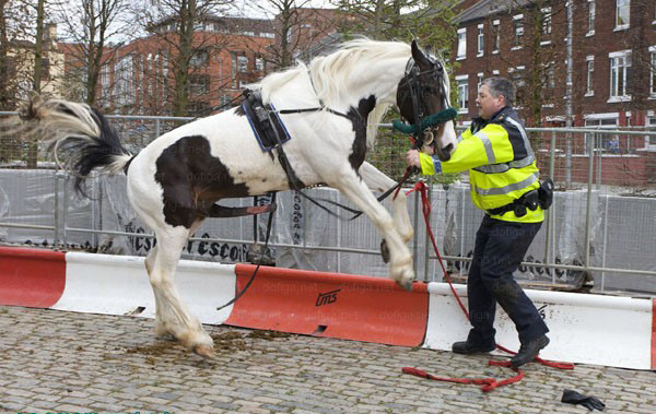 ÿͻȻ𾹵¶ǹǿﾯ(ʵͼ)