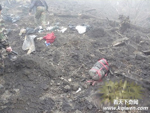 Ͷ4ֵҩըٿֲӱ ʬ(ֱͼ57P)